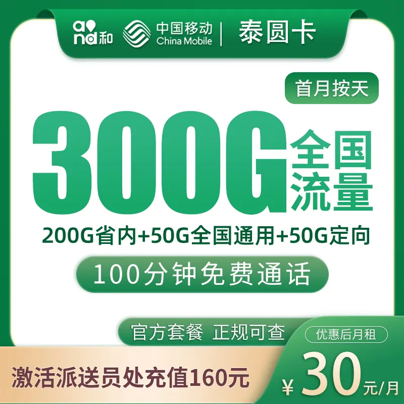 移动泰圆卡30元300G+100分钟【只发山东】产品图