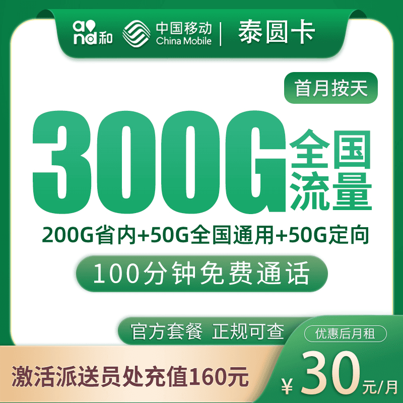 移动泰圆卡30元300G+100分钟【只发山东】产品图